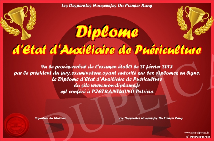 diplome d&rsquo;etat auxiliaire de puericulture